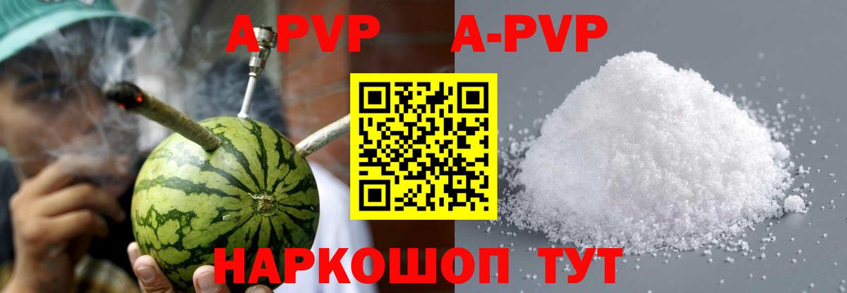 A PVP СК КРИС Саров