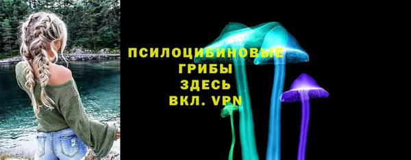 стаф Алзамай