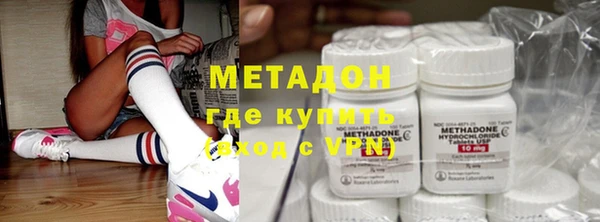 стаф Алзамай