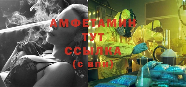 стаф Алзамай