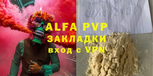 стаф Алзамай