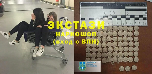 стаф Алзамай