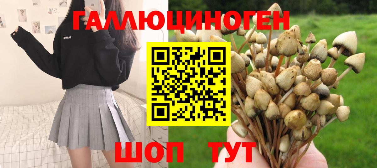Галлюциногенные грибы GOLDEN TEACHER  Вход с VPN  Псилоцибиновые грибы MAGIC MUSHROOMS  Саров 